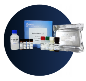 Beacon Analytical Systems